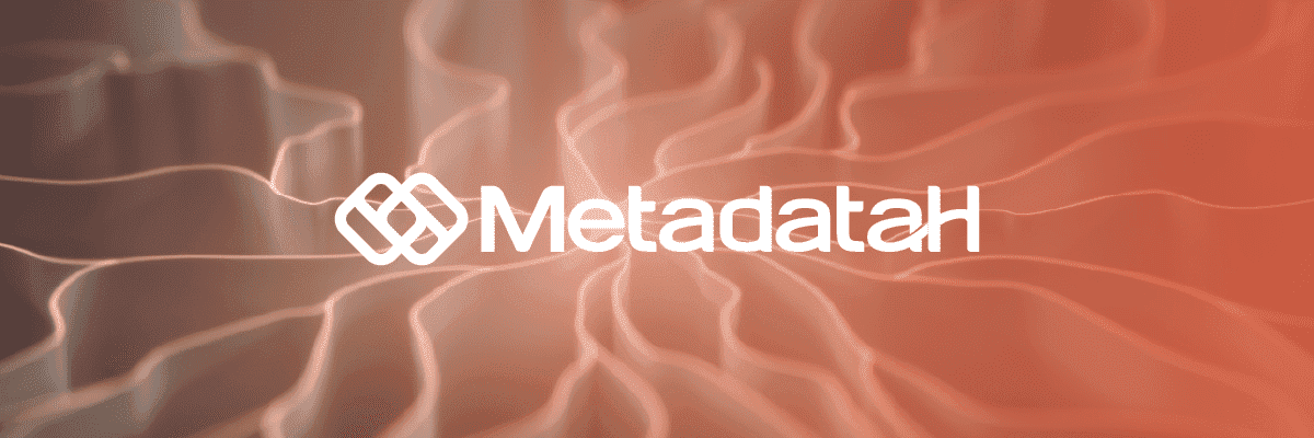 metadatah simplificando a ia para empresas